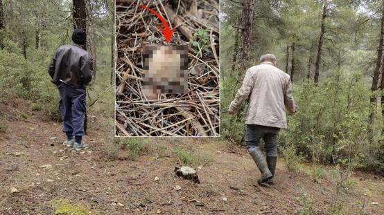 Köylüler dağ tepe onu arıyor: Altın bulmuş gibi seviniyoruz