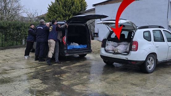 Piyasaya sunulmaya hazır 306 kilo at Silivride ele geçirildi