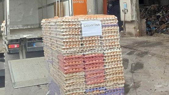 Yumurtada akıl almaz hile! Ekipler hepsini toprağa gömdü