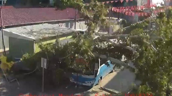 Osmaniyede çınar ağacı otobüsün üzerine düştü