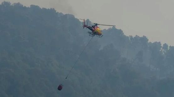 Almeria orman yangınında 11 ölü