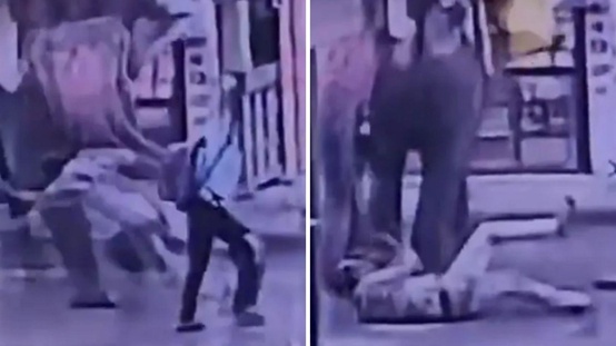 Elinden şeker yemişti! Fil Kendisine tatlı veren işçiyi ezerek öldürdü