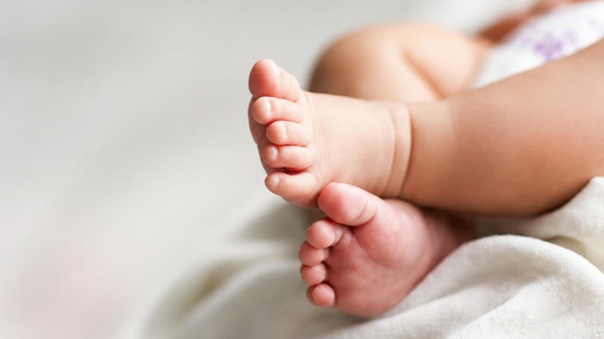 Eşiyle tartışırken açtığı kutulardan 5 bebek cesedi çıktı