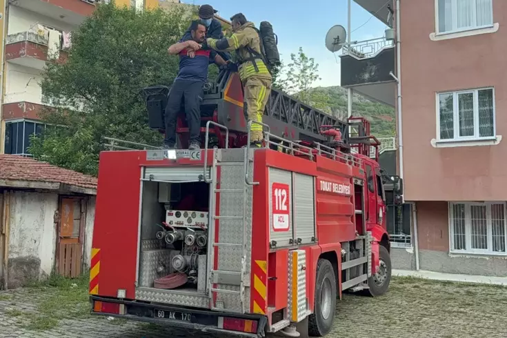 Fareleri kaçırmak için yaptıkları plan, tüm mahalleyi zehirliyordu