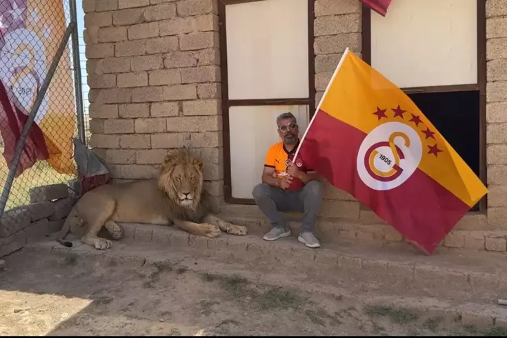 Galatasaraylı taraftar, şampiyonluğu aslanlarıyla kutladı Aslanlara verdiği isim dikkat çekti