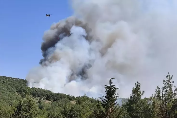 Balıkesir’deki orman yangınlarına ilişkin soruşturmada 5 gözaltı