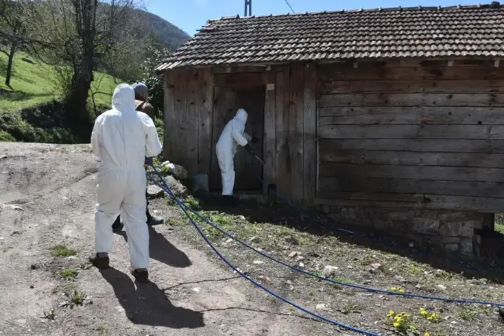 Bursa’da 3 mahallenin kabusu oldular: Yok etmek imkansız