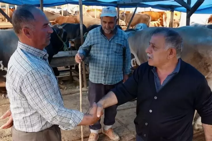 Rakamlar netleşti İşte kurban fiyatlarının en uygun olduğu 7 ilimiz