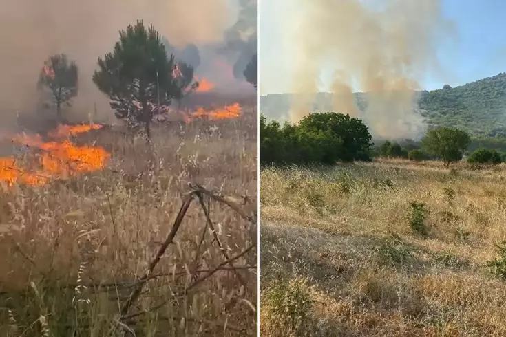 Balıkesir’de tarım arazisinde yangın Alevlere müdahale devam ediyor