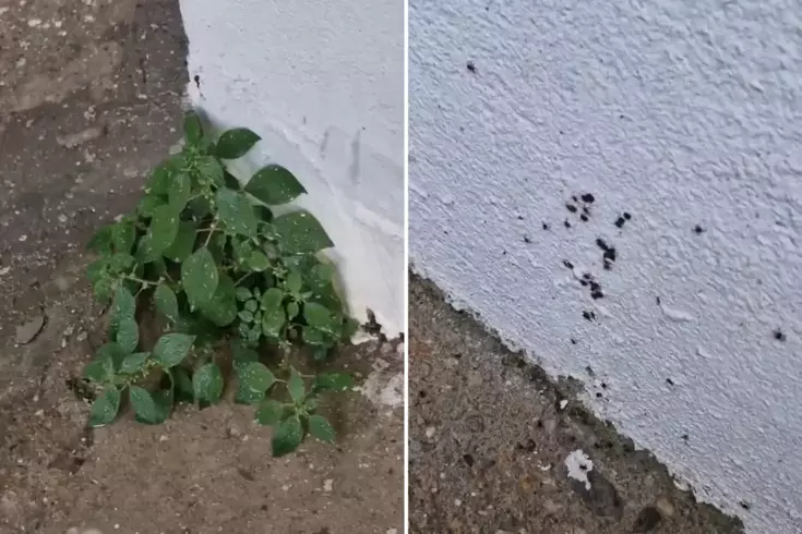 “Dikkat edin“ diyerek paylaştı İstanbul’dan endişe yaratan görüntü