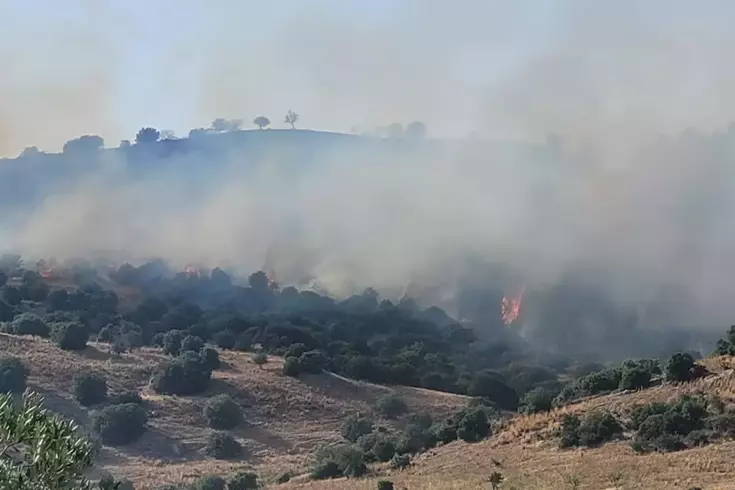 Aydın’da korkutan yangın 3 kişi hastanelik oldu