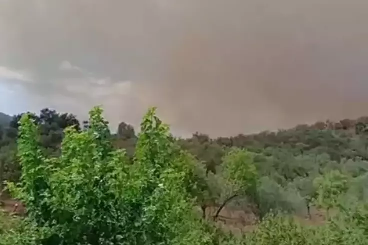 Balıkesir’de orman yangını Bir mahalle boşaltıldı