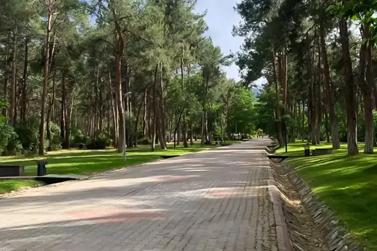 Parkta oturan genç kızları önce takip sonra taciz etti