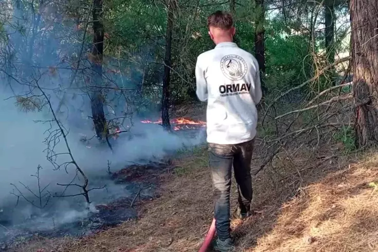 Amasya’da Orman Yangını: 25 Dekar Zarar