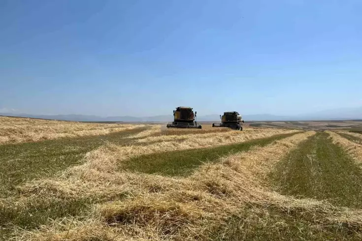 Ekme diyenlere inat ekti, tarladan bereket fışkırdı