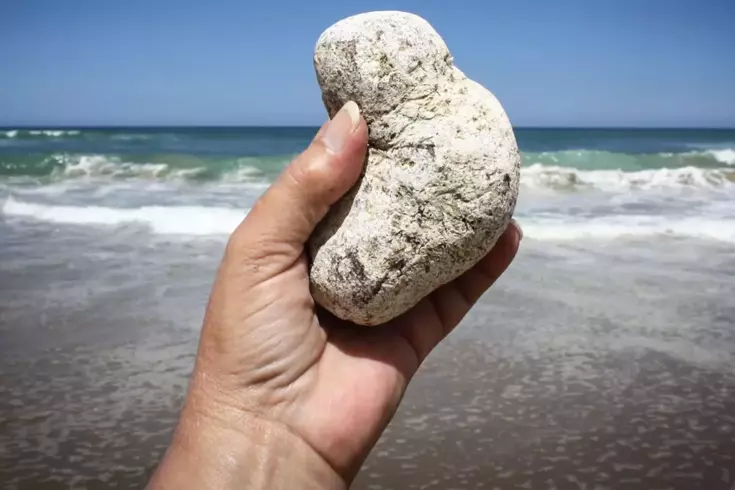 Sıradan bir taş gibi gözüküyor, sahillerde bulan köşeyi dönüyor