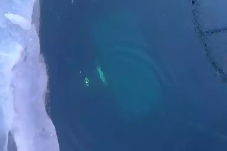 Tur aracı buzun altına düştü Feci şekilde can verdiler