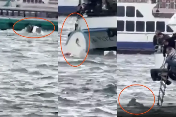 Vapur Tekneye Çarptı, Bir Kişi Kurtarıldı