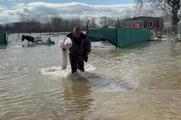 Meriç Nehri taştı, çuvalını kapan tarlada sazan topladı