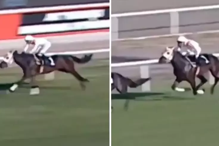 Yarış görüntüleri ortaya çıktı Kavurması yapılan atın 3 birinciliği varmış