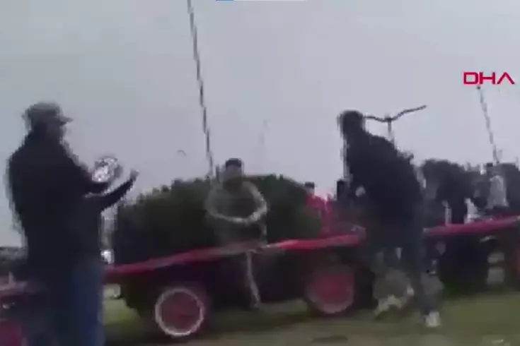 Sahibinin, koşmadığı için dövdüğü at bayıldı