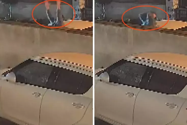 Silahlı saldırının ardından yıkıldı: Canbay’ın çaresizliği kamerada