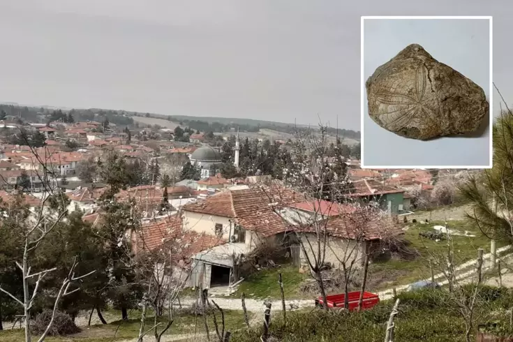 Baklan’da milyonlarca yıllık deniz yıldızı fosili bulundu