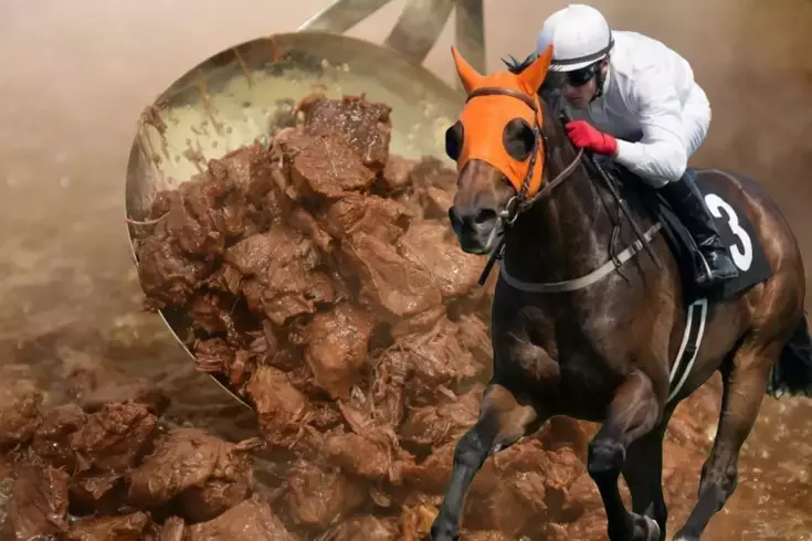 Vatandaşa yarış atı yediren firmayla ilgili yeni skandal