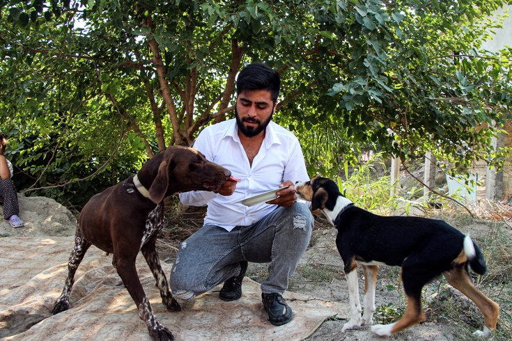 Sarıçam'da inşaatta uyuyan köpeğe sopalı saldırı: Komşu 'tavuklarımı yedi' savunmasıyla serbest bırakıldı