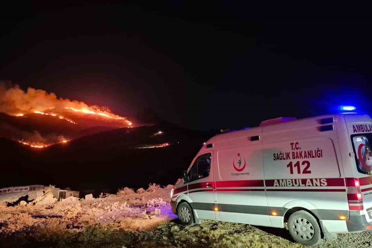 Bodrum'da makilik alan alev aldı! Rüzgar yangını geniş bir alana taşıdı