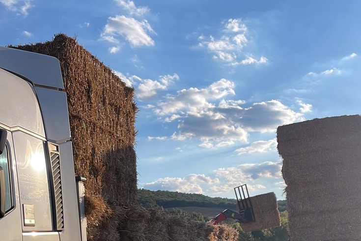 Tekirdağ'da üzerine yaklaşık 500 kilo saman balyası düşen çiftçi öldü