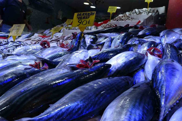 Karadeniz'deki bolluk tezgaha yansıdı: Samsun'da palamutun fiyatı 90 TL'ye geriledi