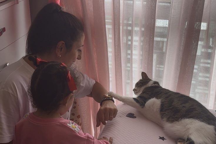 Halkalı'da hırsızlık girişimini evin kedisi boşa çıkardı: 4 kadın 45 dakika uğraşıp içeri giremedi