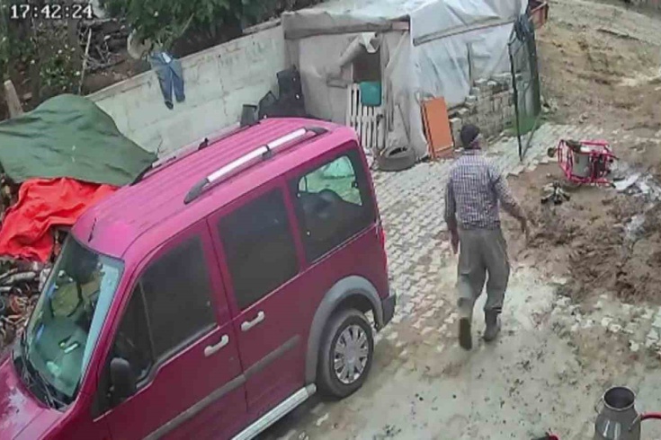 Gümüşhacıköy'de ineklerin peşine düşen boğa, komşunun süt sağım makinesini sürükleyip götürdü