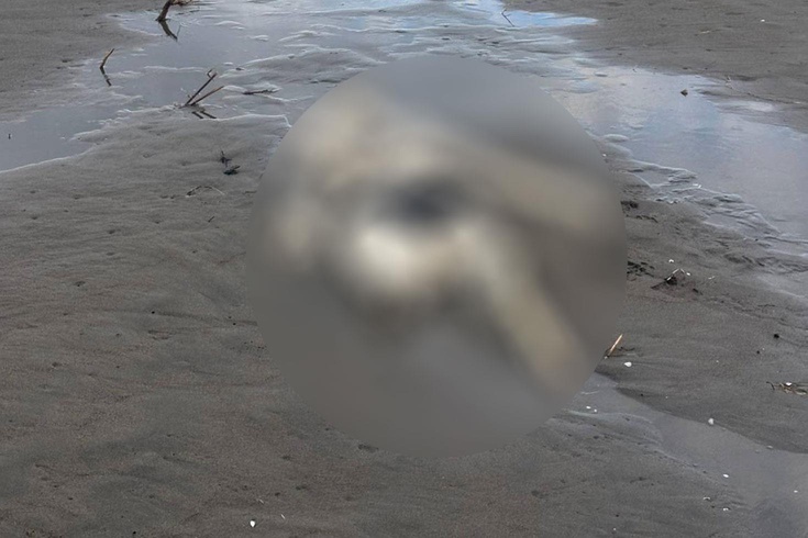 Samsun'da üzerinde mayoya benzer kıyafetle insan iskeleti bulundu