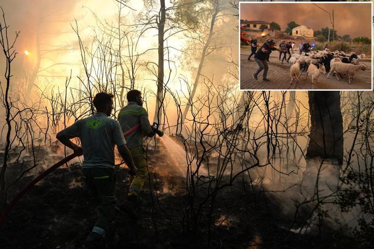İzmir’deki Orman Yangınlarına Müdahale Aralıksız Devam Ediyor