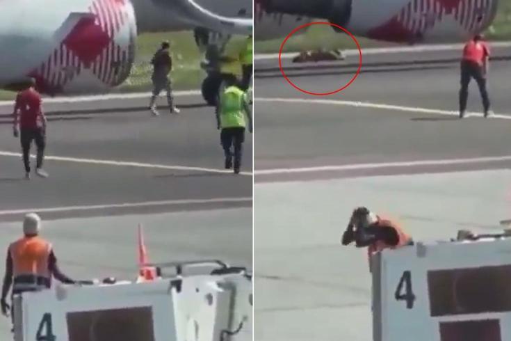 Apronda dehşet Koşarak uçağın motorunun içine atladı