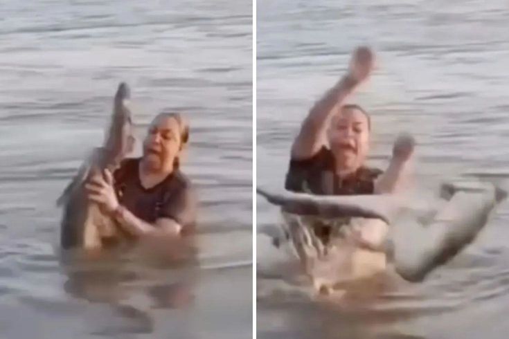 Kütük diye eline aldı, timsah çıktı Yaşadığı şok kamerada