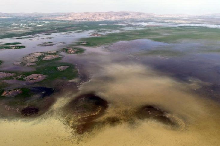 8 yıl sonra yüz güldüren görüntü
