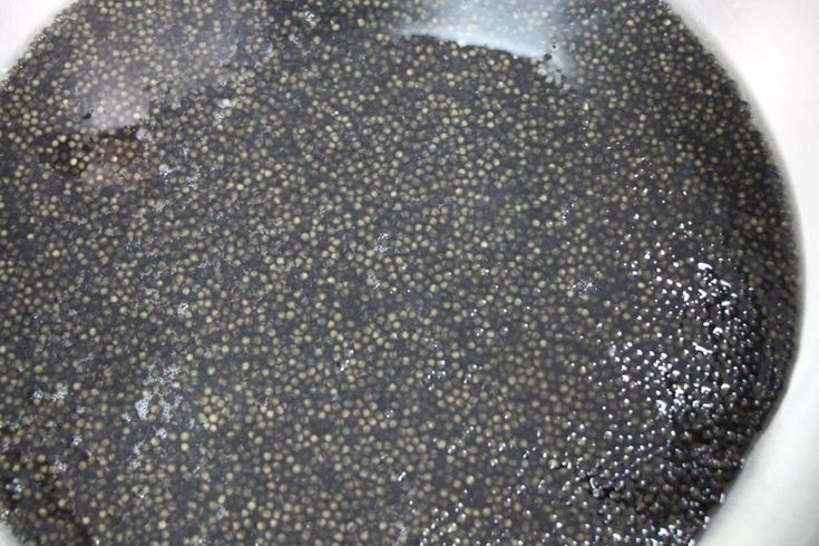 Çiple Karadeniz’e salınacak 2 bin dolardan satılıyor