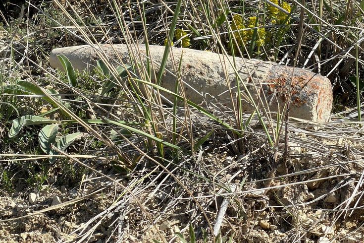 Mantar ararken top mermisi buldu, 20 metre taşıdı