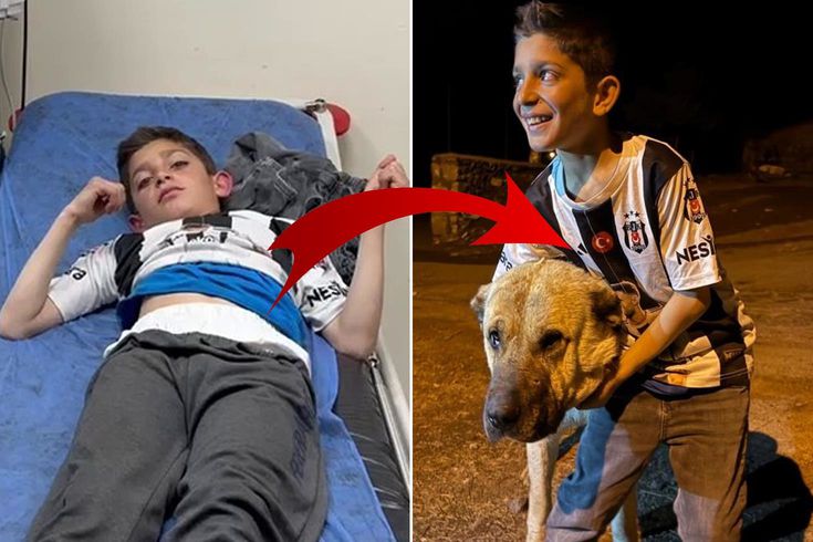 Köyün kahramanı Kral, bu kez 10 yaşındaki Sencar’ı kurtardı