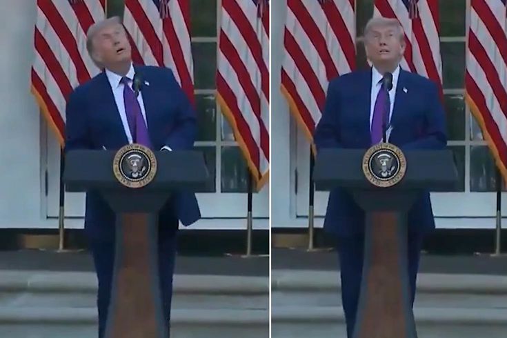 Trump’ın korku dolu anları Kuşu dron sanınca büyük panik yaşadı