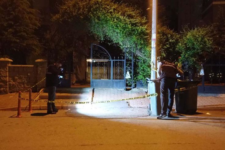 Darbedilen kadını kurtarmak isteyen 2 kardeş bıçaklandı