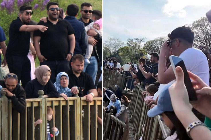 Dünyada sadece Türkiye’de var İzlemek için 40 bin kişi ilçeye akın etti