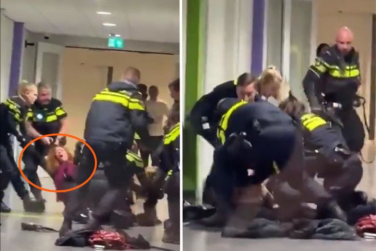 Hollanda polisi hamile Filistinli kadını yerlere savurdu