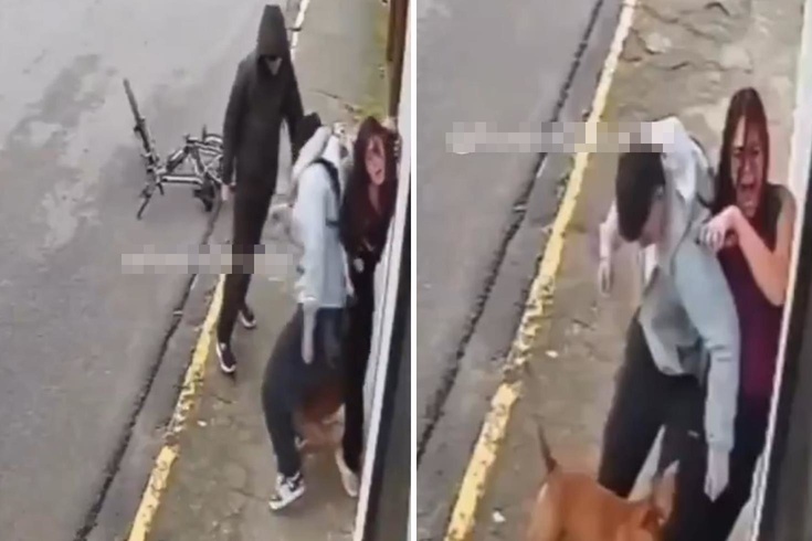 Genç kadın, pitbull köpeğinin saldırısına uğradı