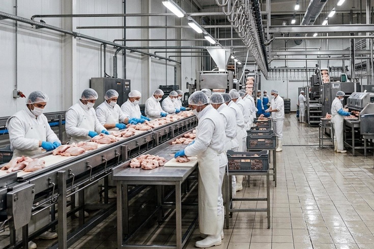 Tavuk firmalarına denetim kayyumu atanmasıyla ilgili başsavcılıktan açıklama
