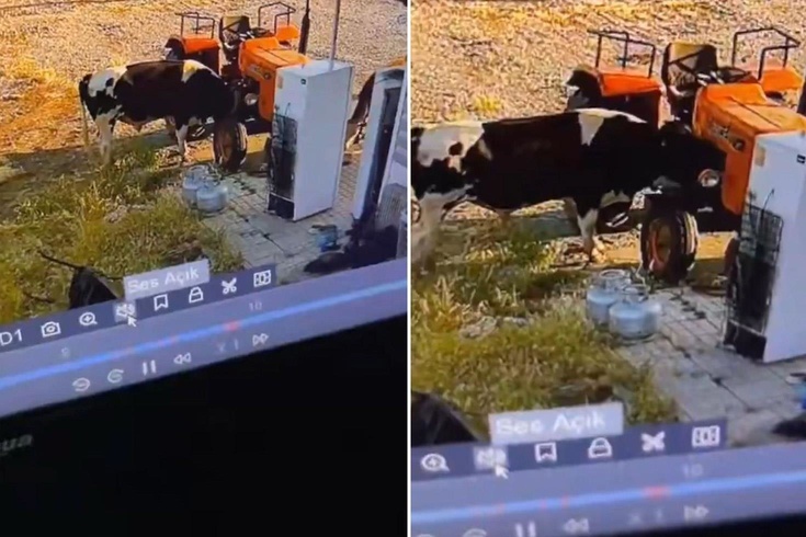 Yer: Konya Görüntüsü olmasa kimsenin inanmayacağı bir olay daha