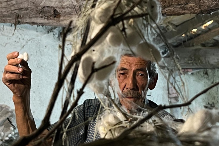 Evinin altında ipek böceği yetiştirerek 40 günde 216 bin TL kazandı